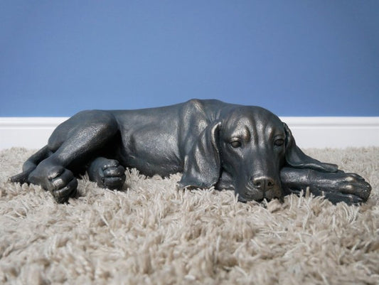 Laying Dog