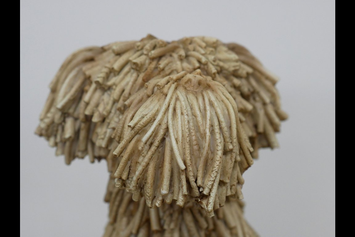 Sitting Shaggy Dog