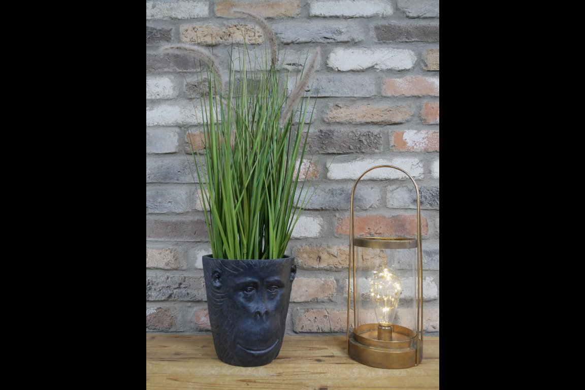 Monkey Head Planter