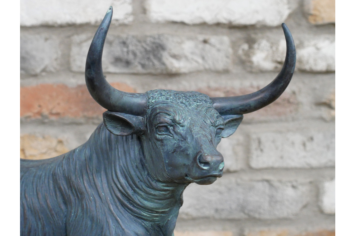 Bull