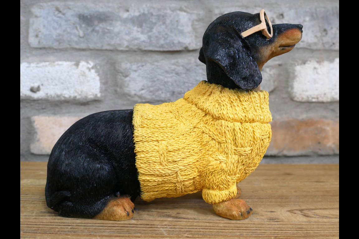 Dachshund Dog In Sweater