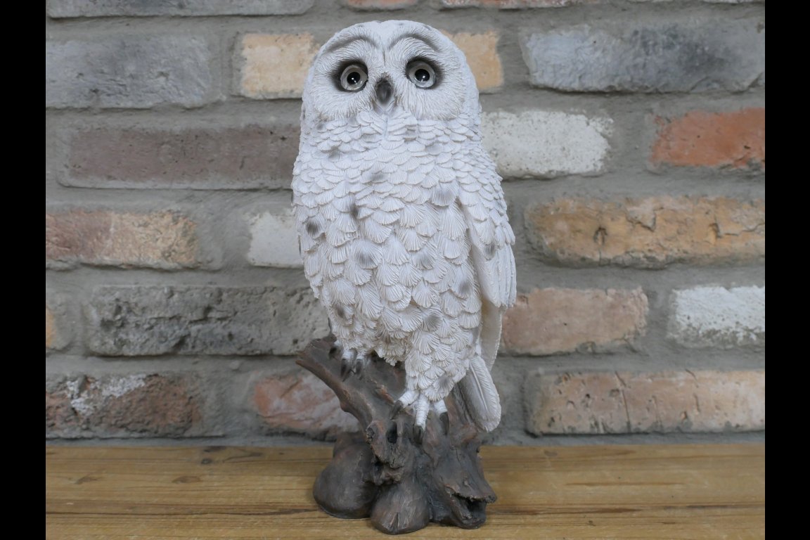 Solar Owl