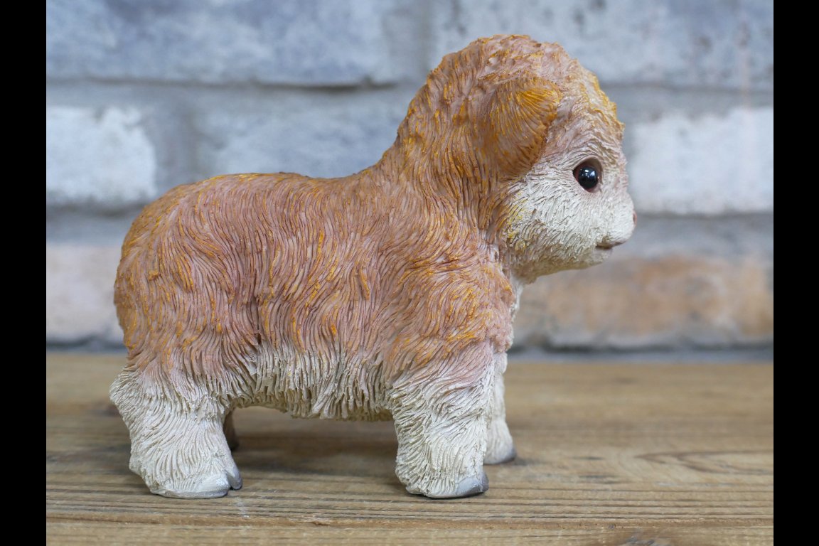 Tiny Baby Cow