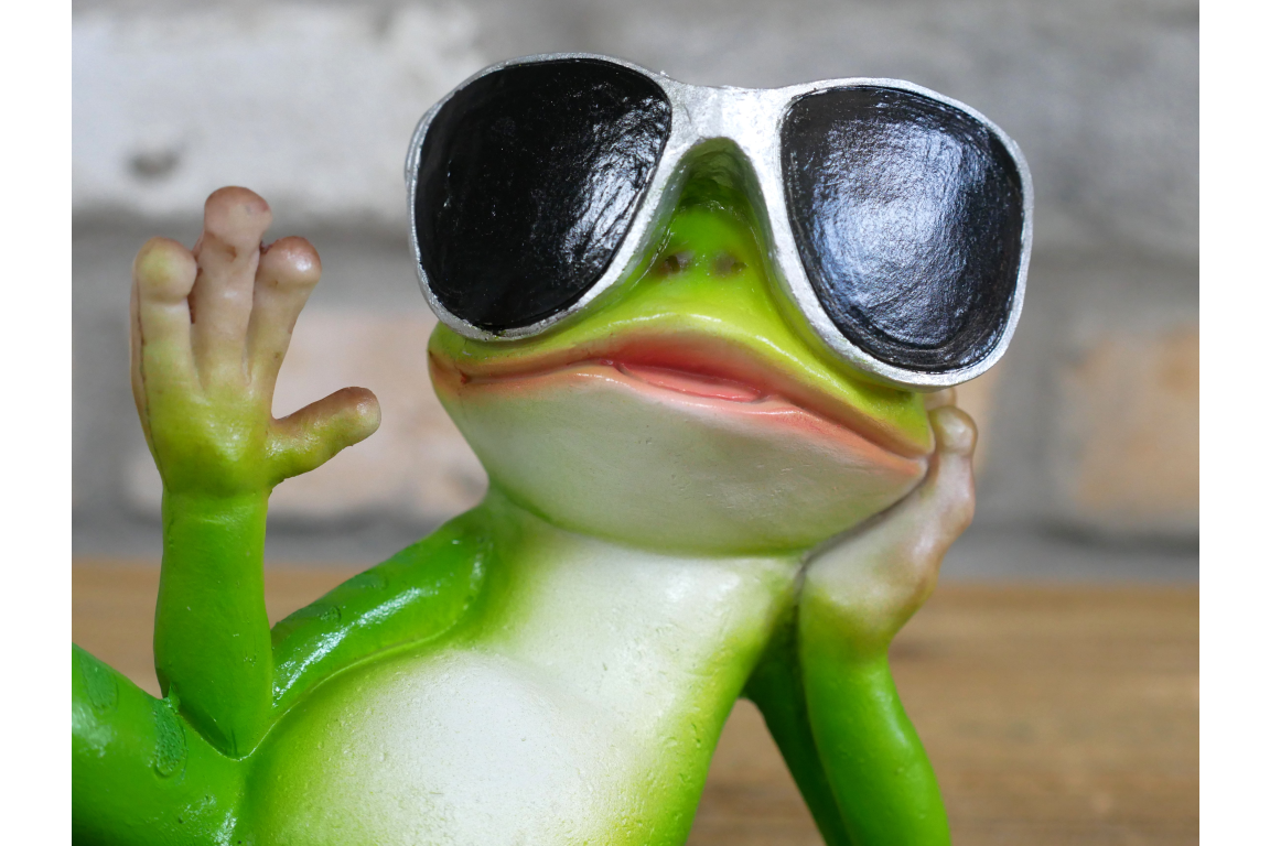 Chilling Frog