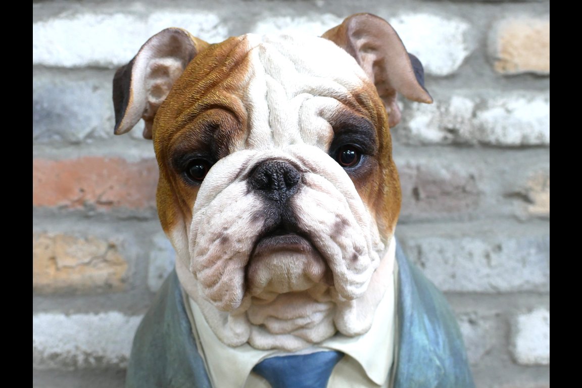 Large Bulldog Bust
