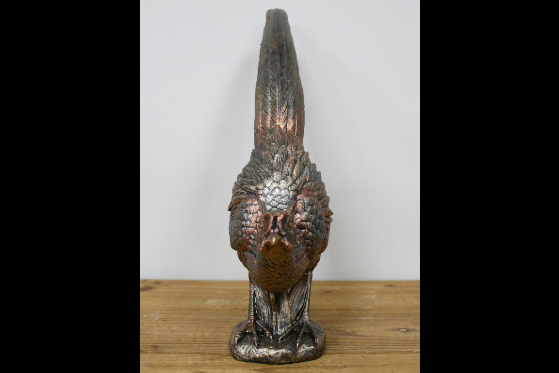 Pheasant