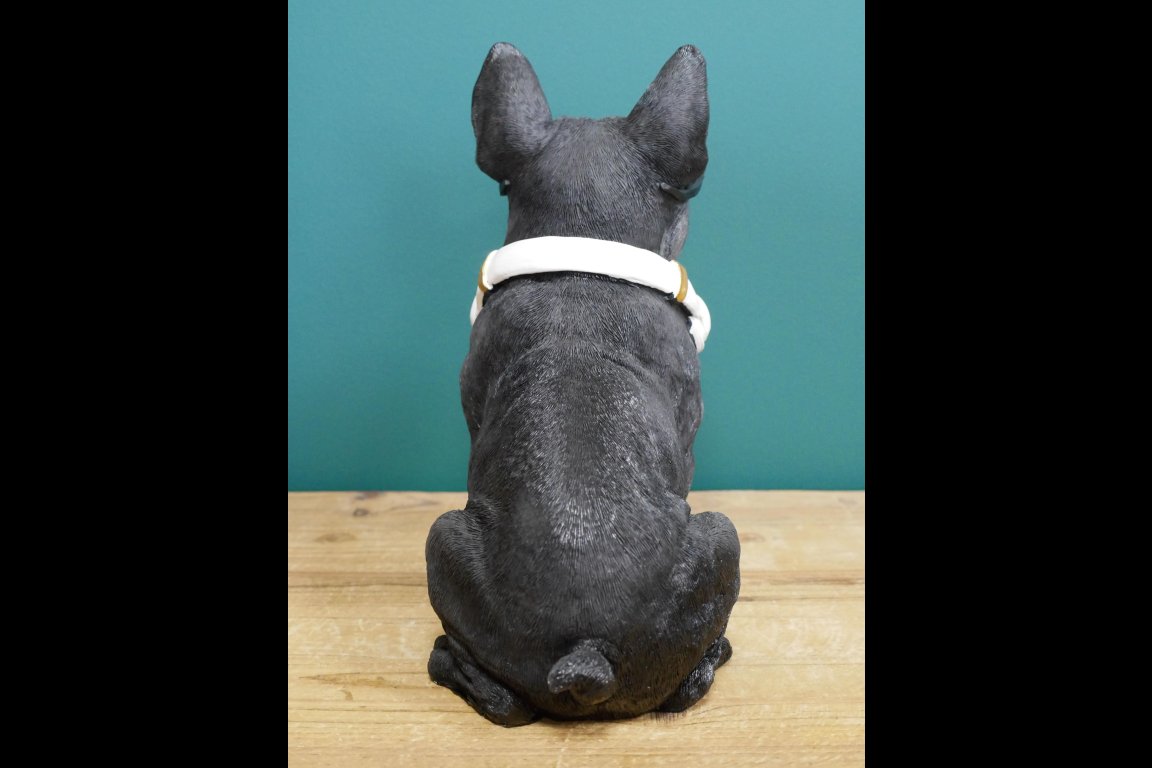 Dog With Headphones