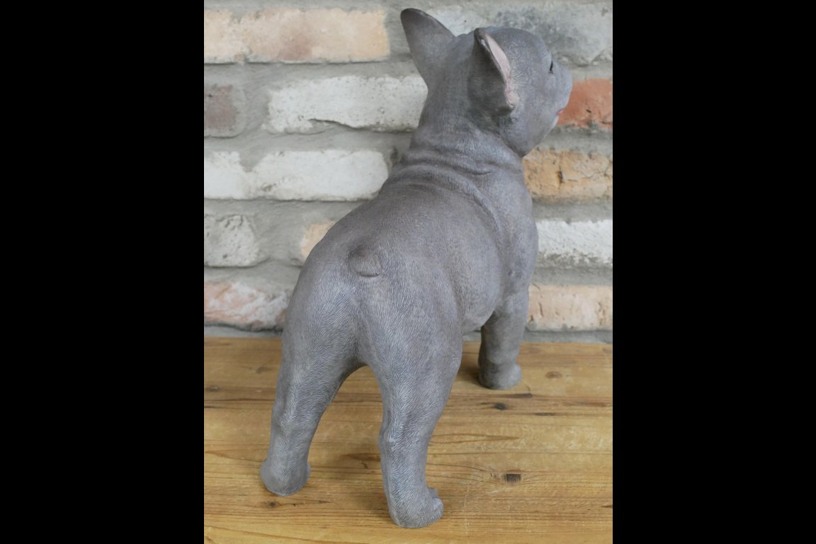 Standing Dog (Frenchie)