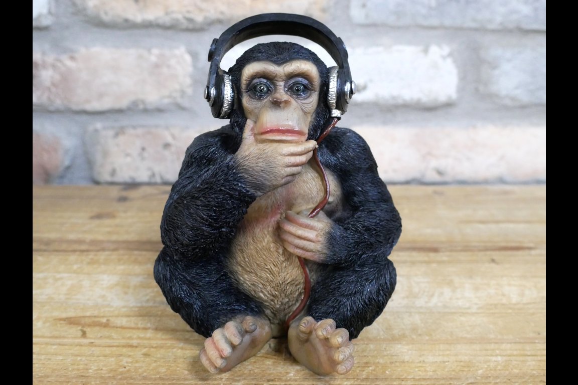 Monkey With Headphones