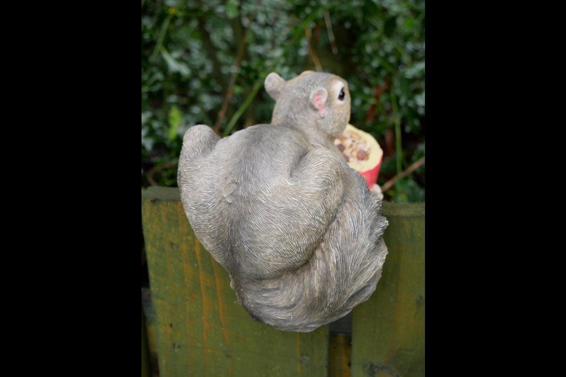 Squirrel Feeder