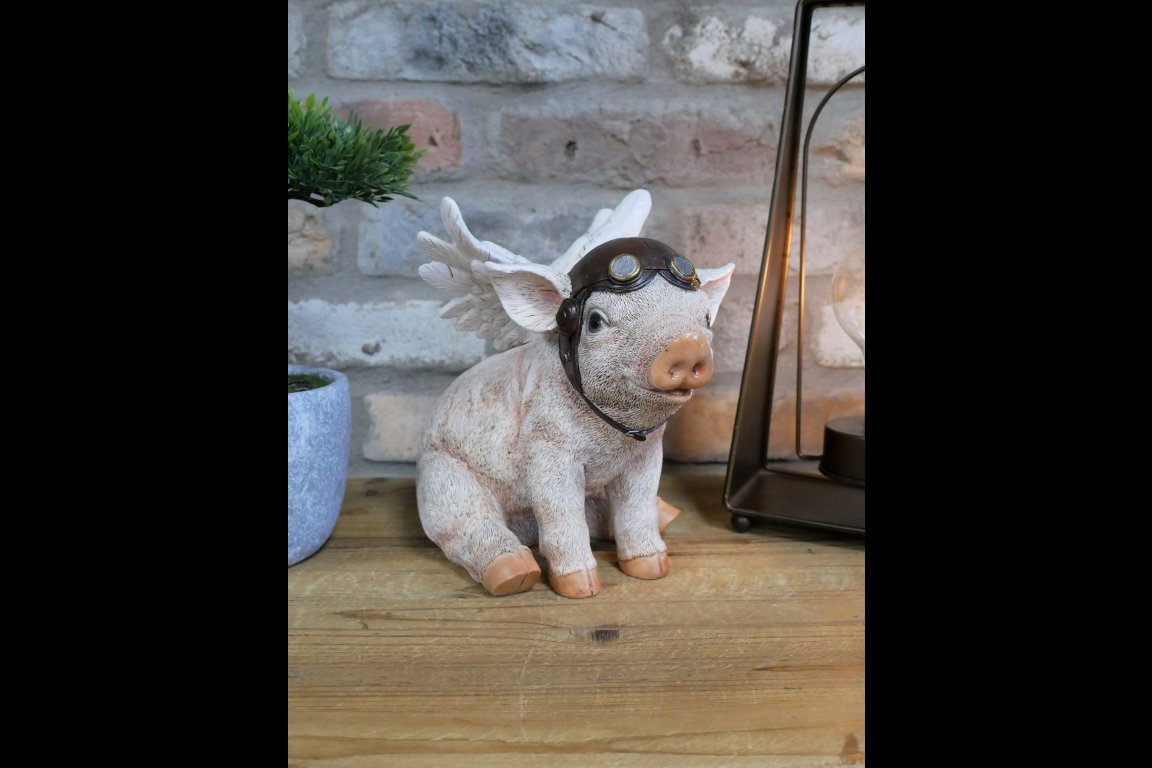 Flying Pig
