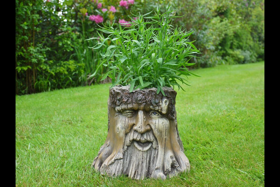 Tree Stump Planter