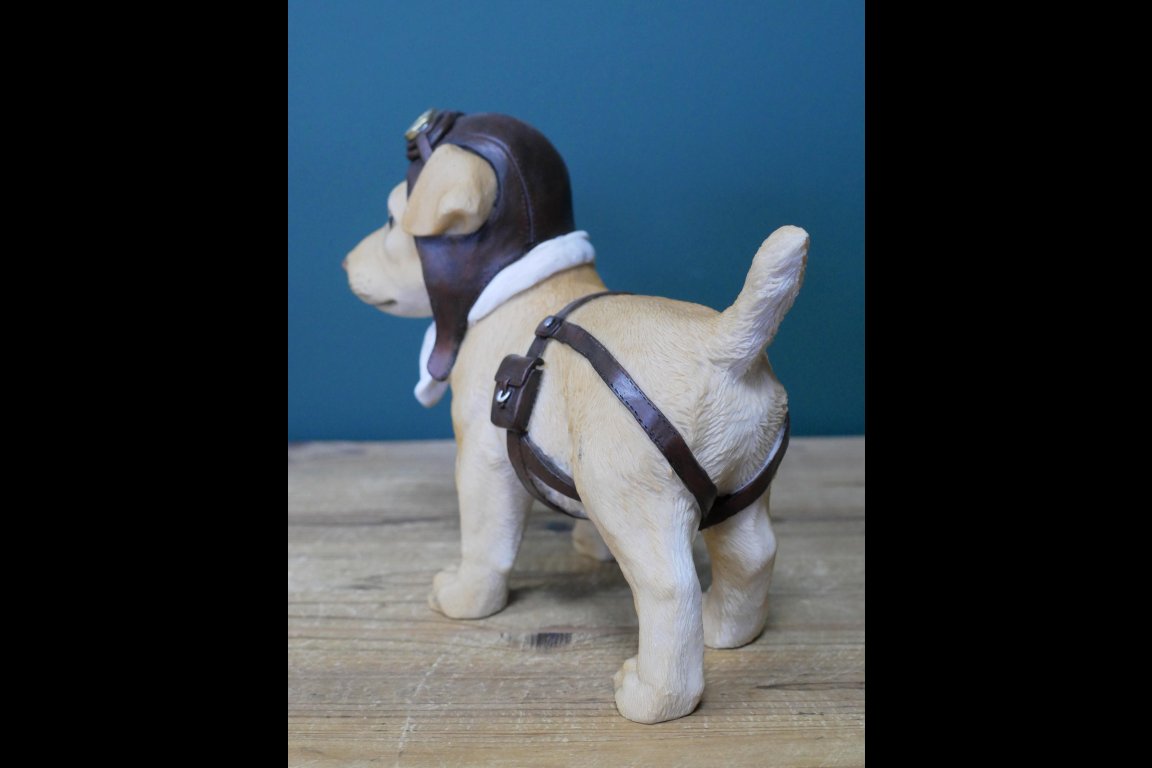 Pilot Dog