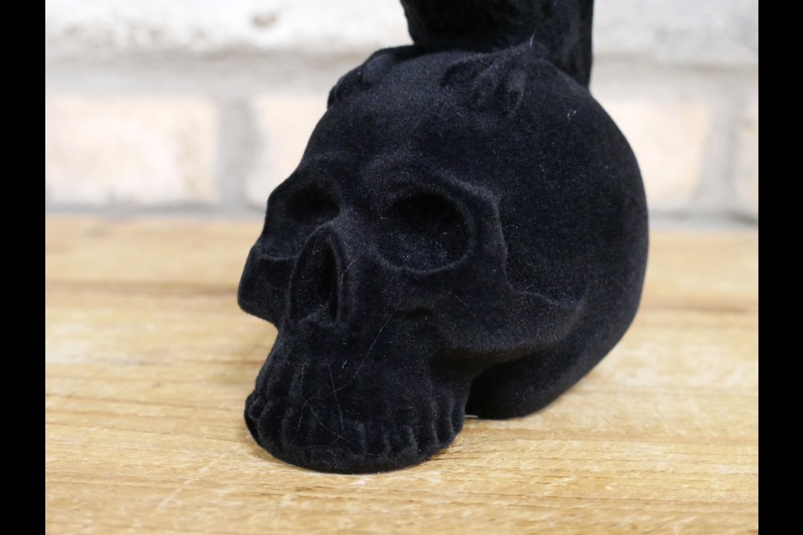 Crow On Skull