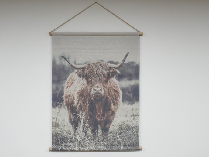Wall Art - Highland Cow