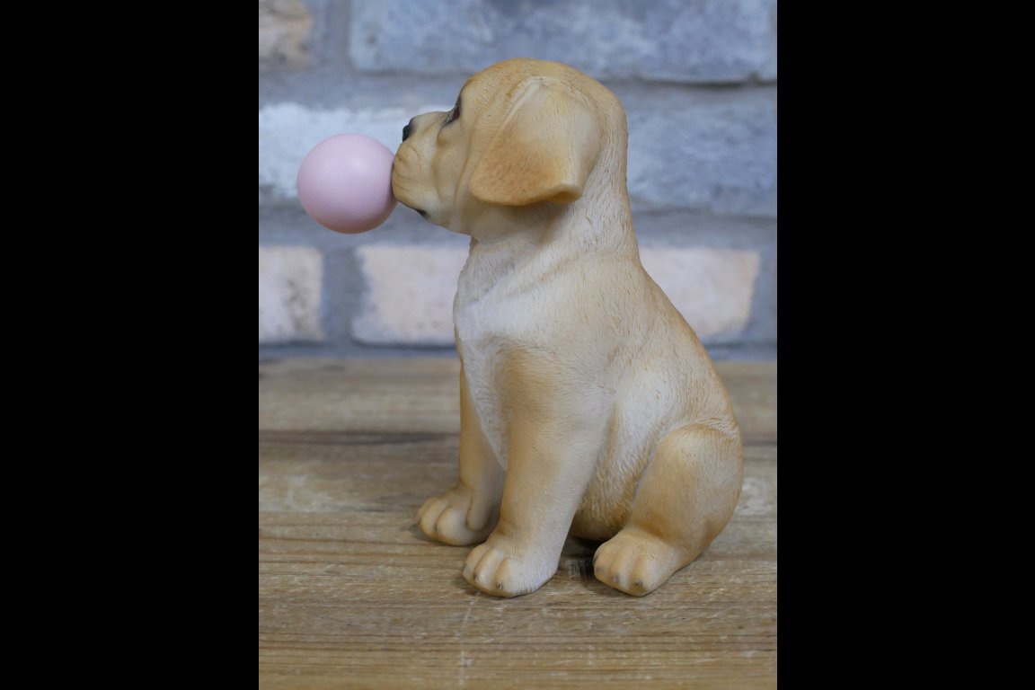 Bubblegum Dog