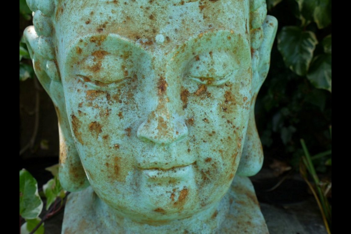 Buddha Head
