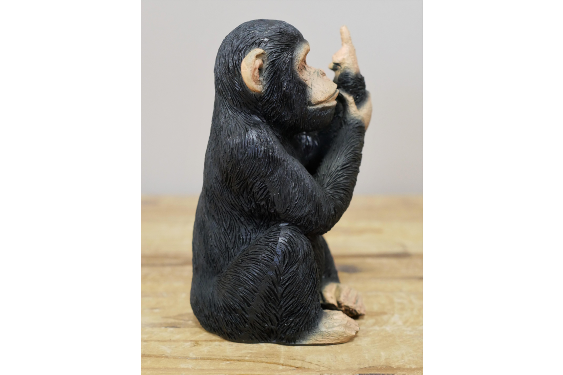 Up Yours Monkey - Small