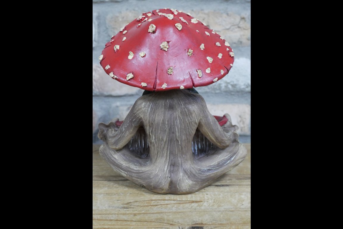 Mushroom Man