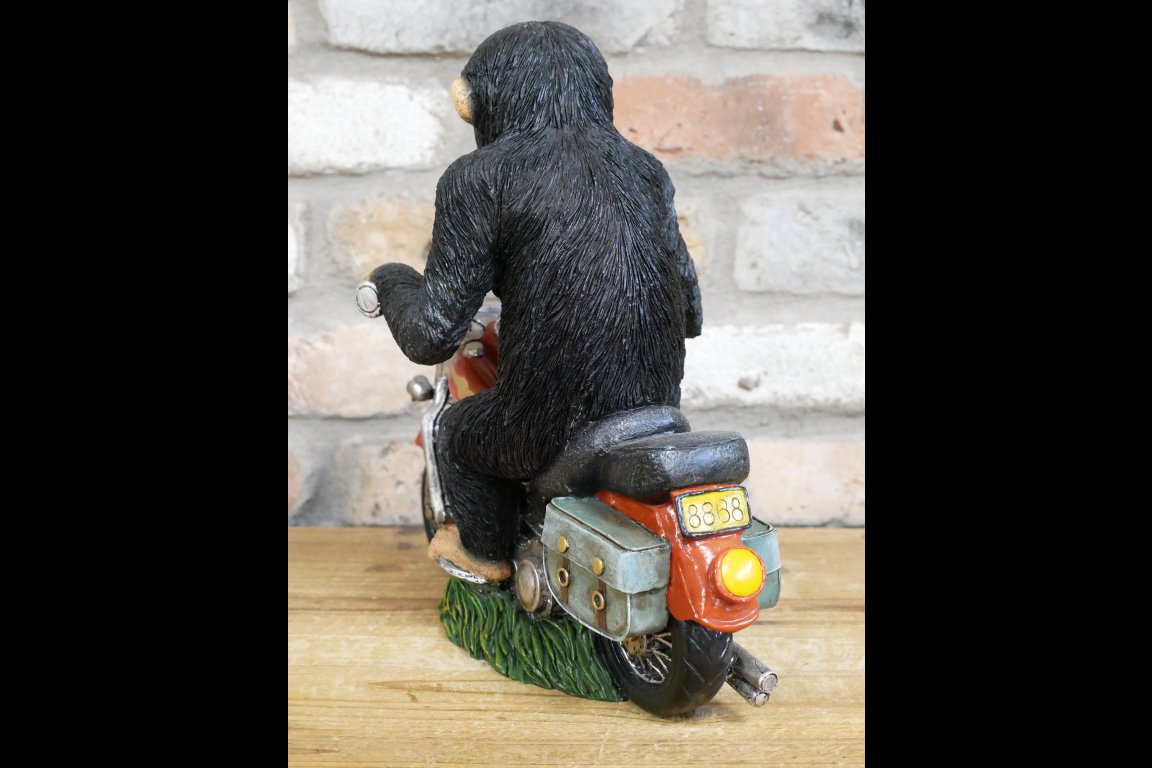 Monkey On Motorbike