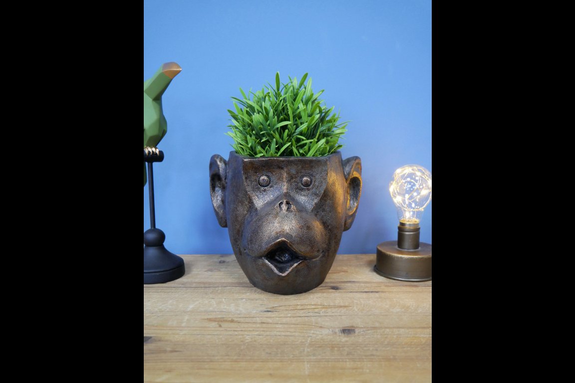 Monkey Head Planter