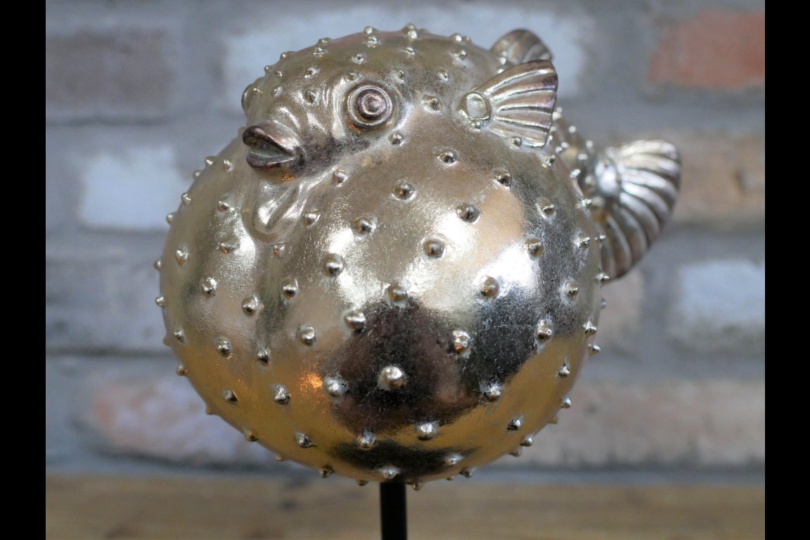 Puffer Fish