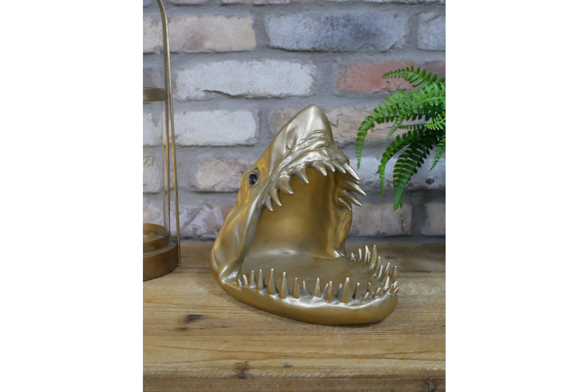 Shark Dish
