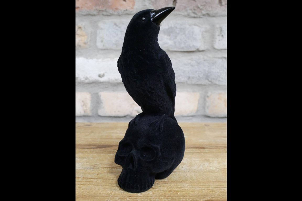 Crow On Skull