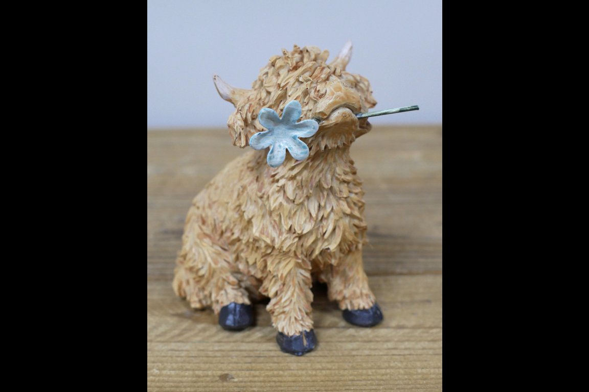 Highland Cow With Flower In Mouth