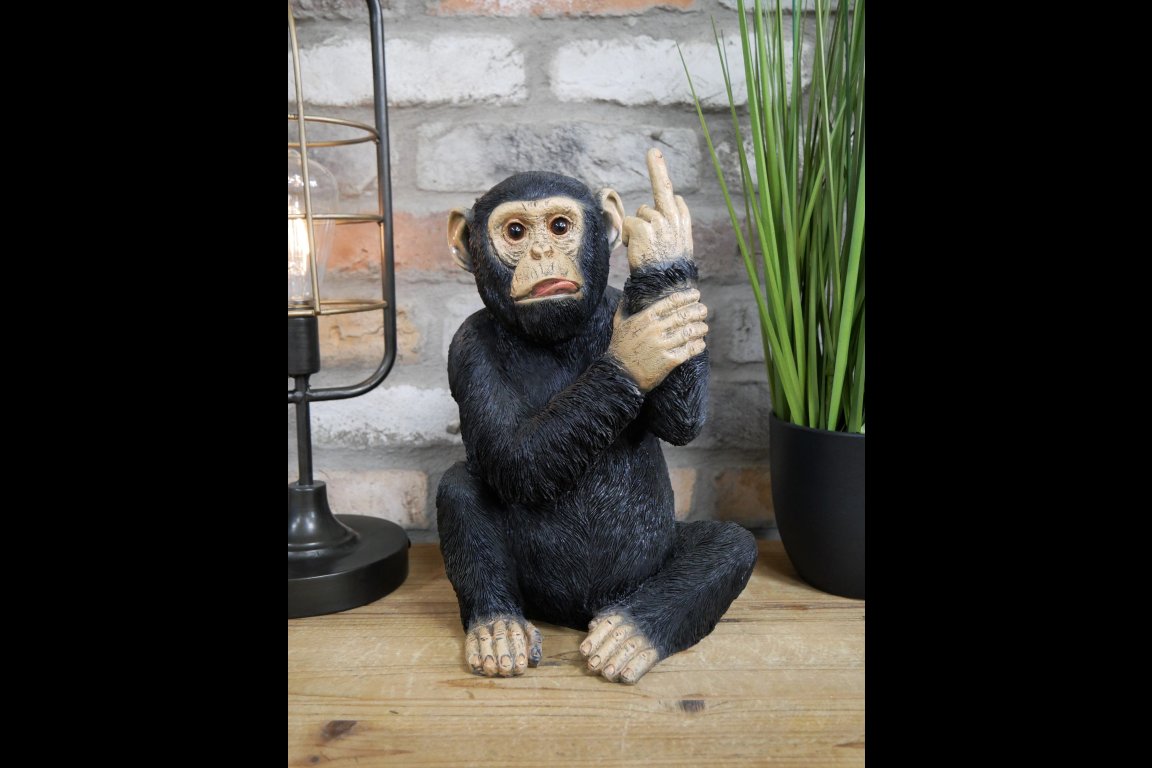 Up Yours Monkey