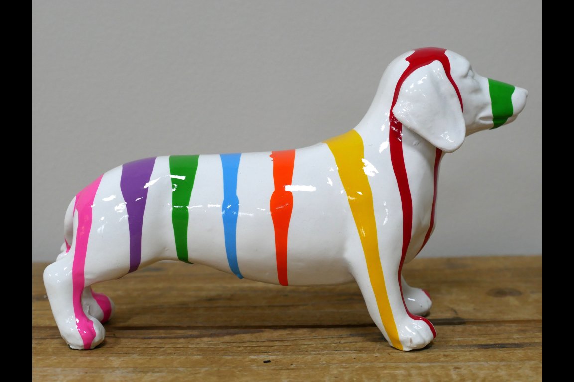 Dog With Stripes