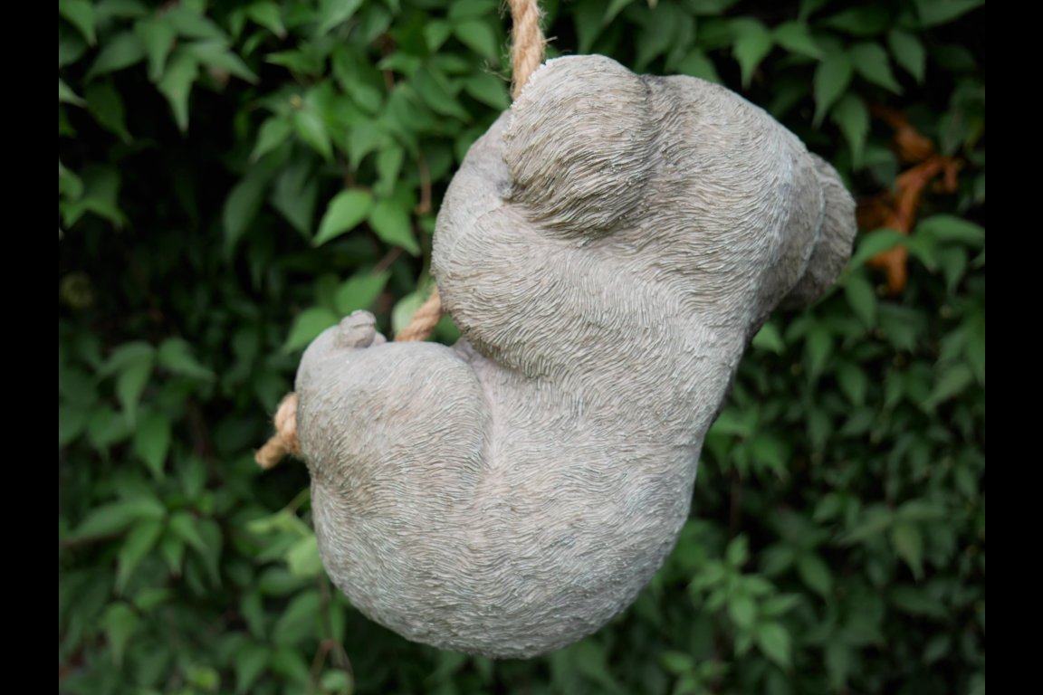 Hanging Koala