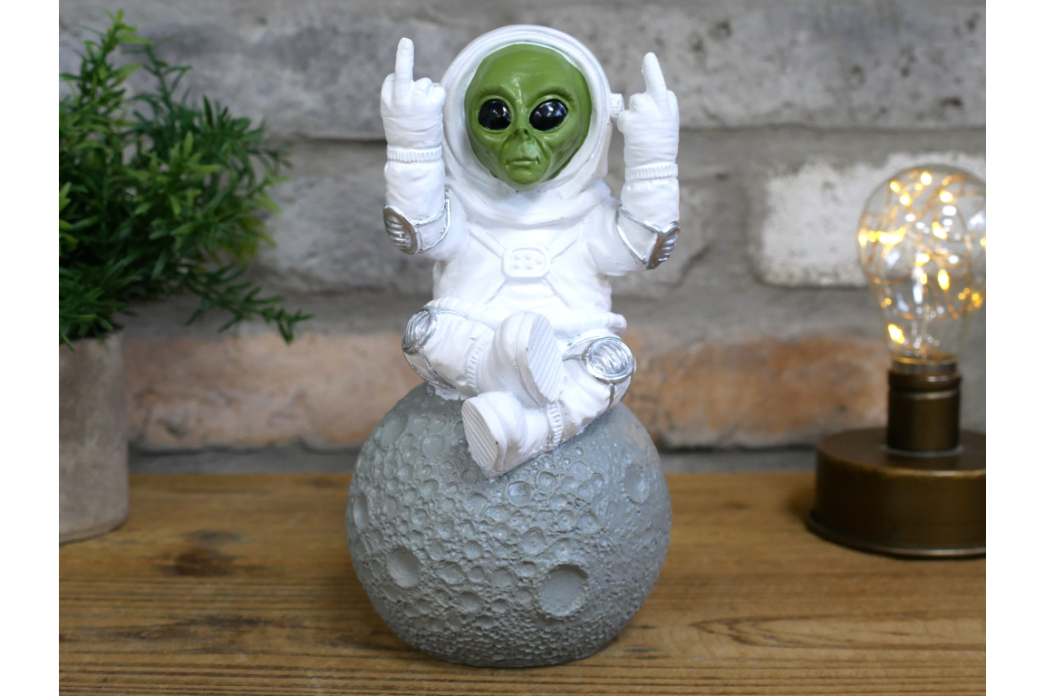 Up Yours Alien