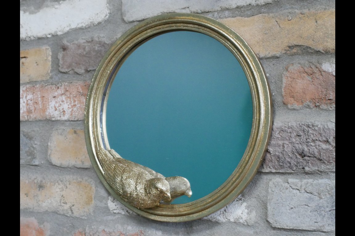 Parrot Mirror