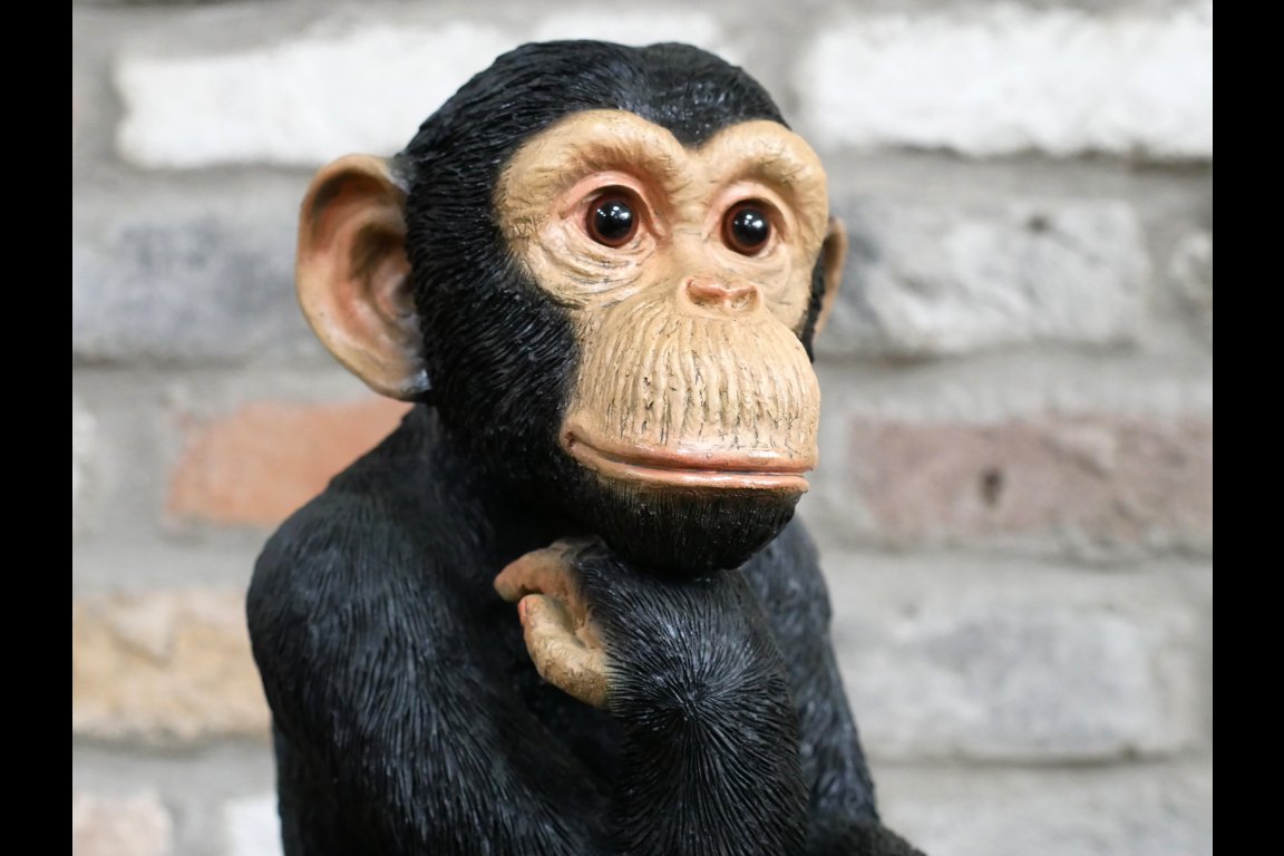 Monkey Thinking