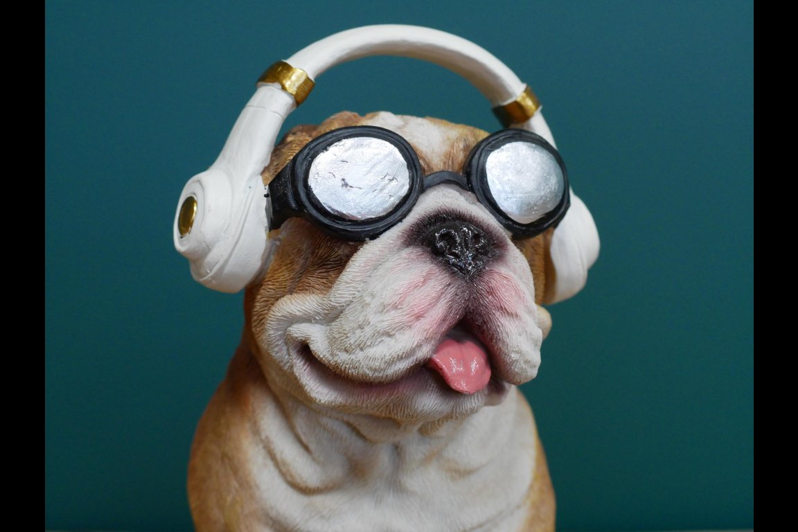 Dog With Headphones