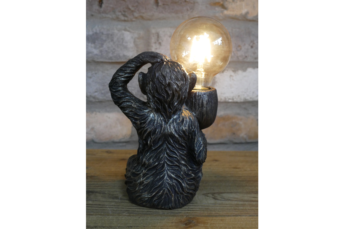 Monkey Light