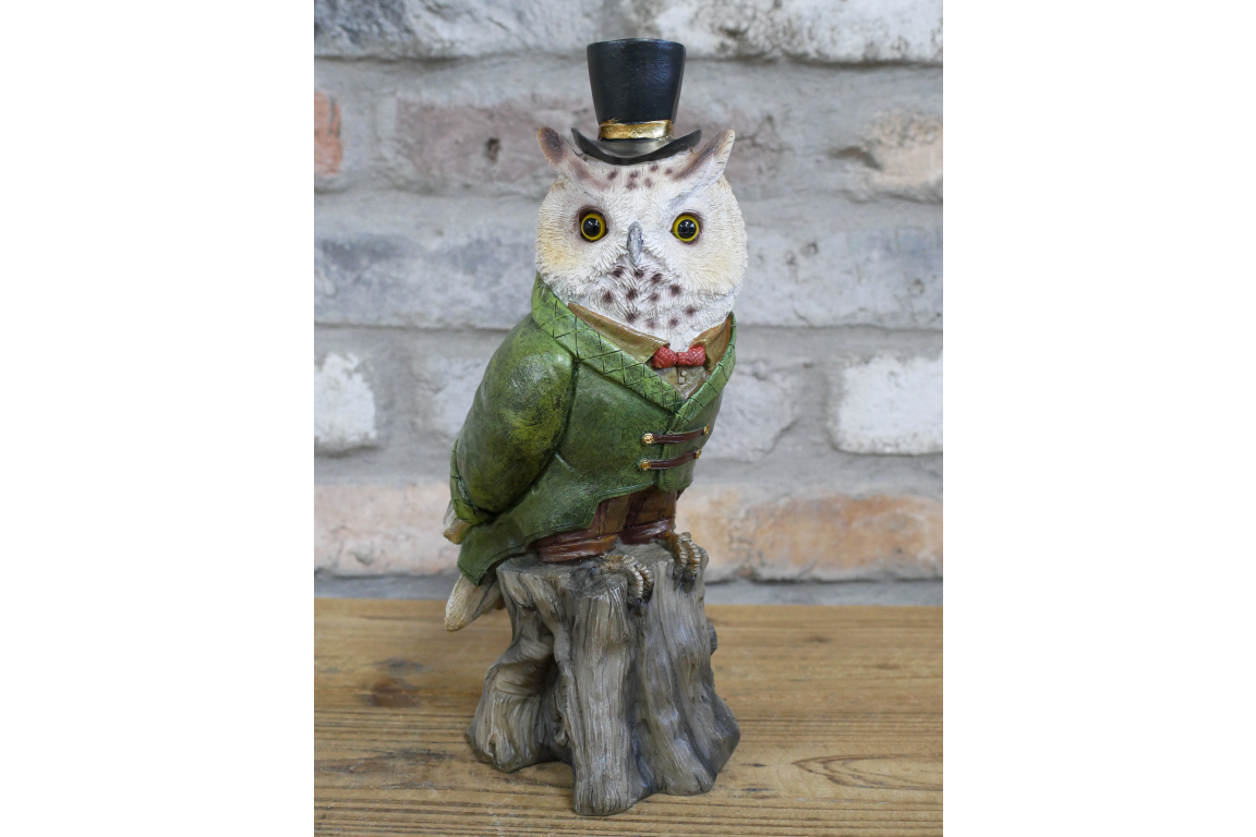 Owl In Suit