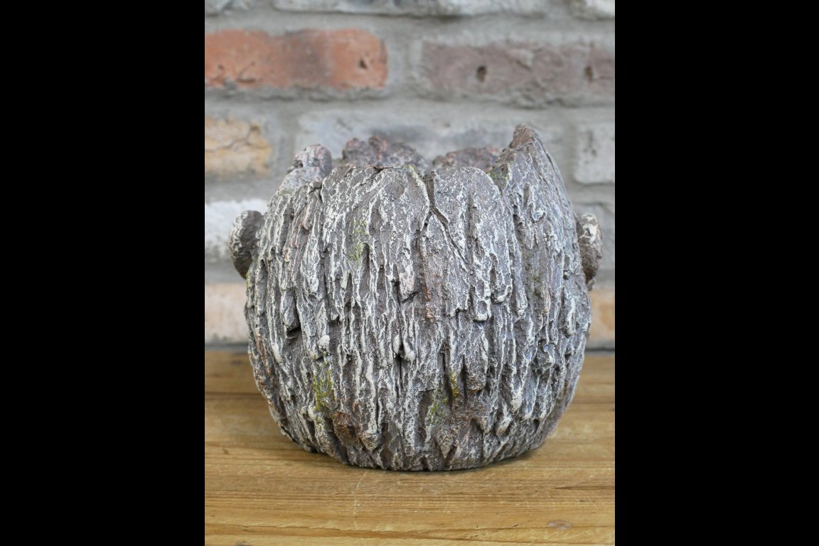 Monkey Head Planter