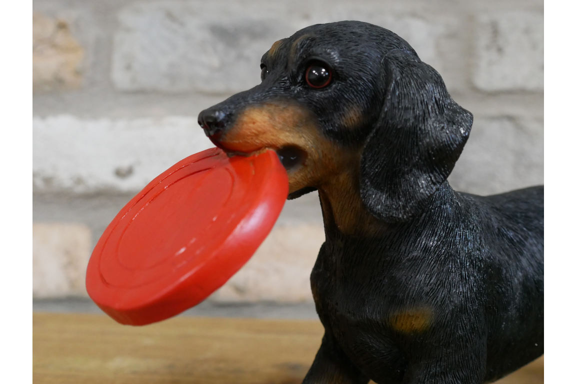 Dog Carrying Frisbee
