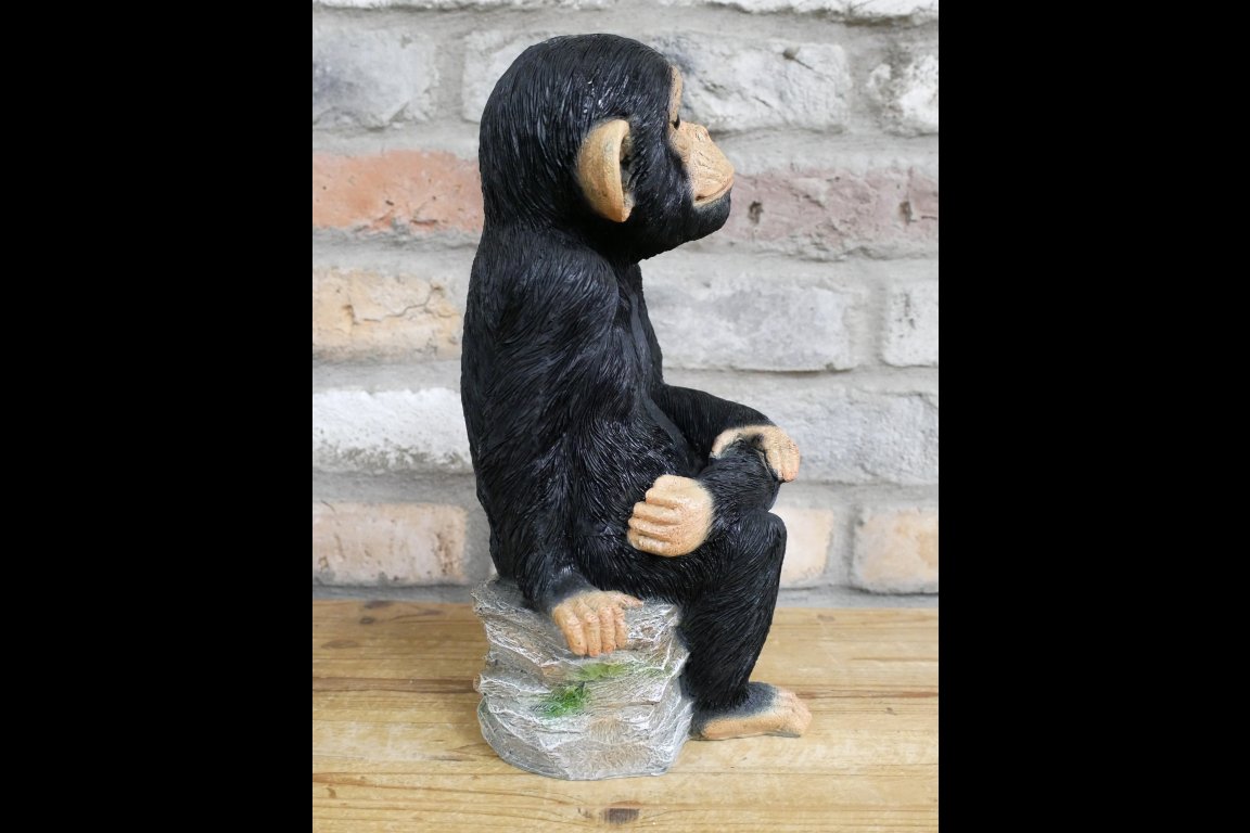 Monkey Sat On Rocks