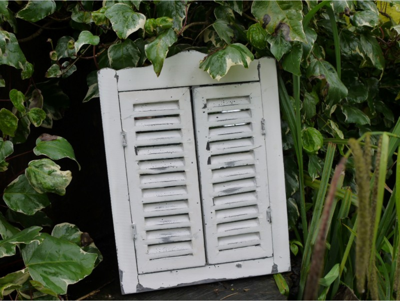 Shutter Mirror