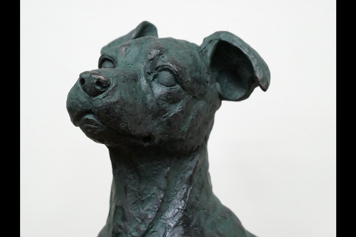 Sitting Dog