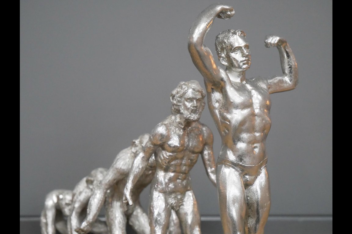 Human Evolution