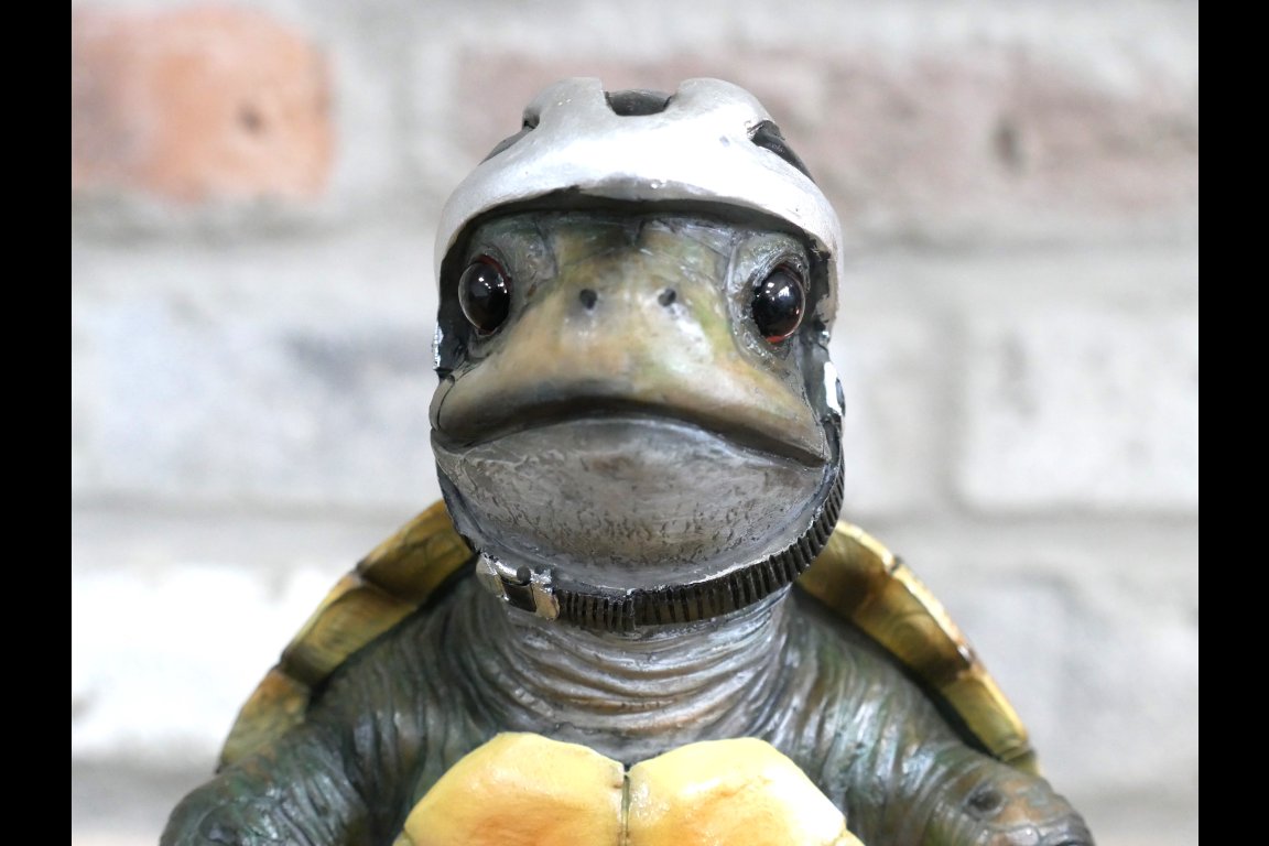 Speedy Tortoise