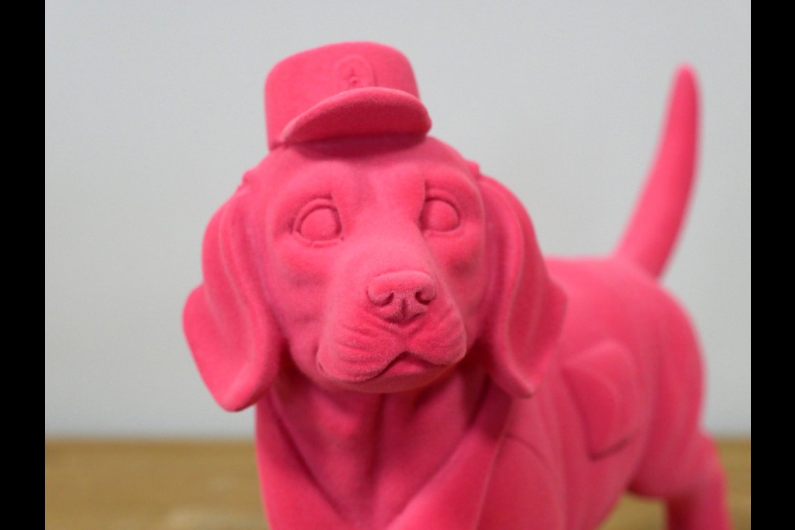 Pink Dog