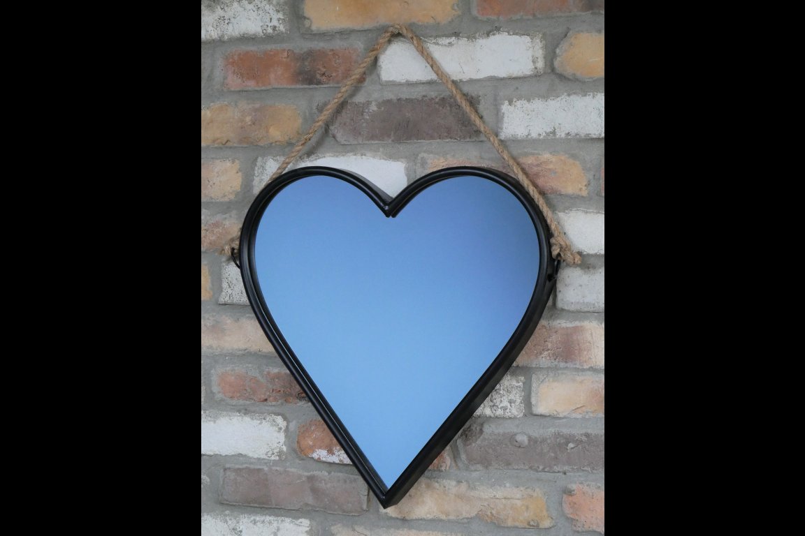 Heart Mirror