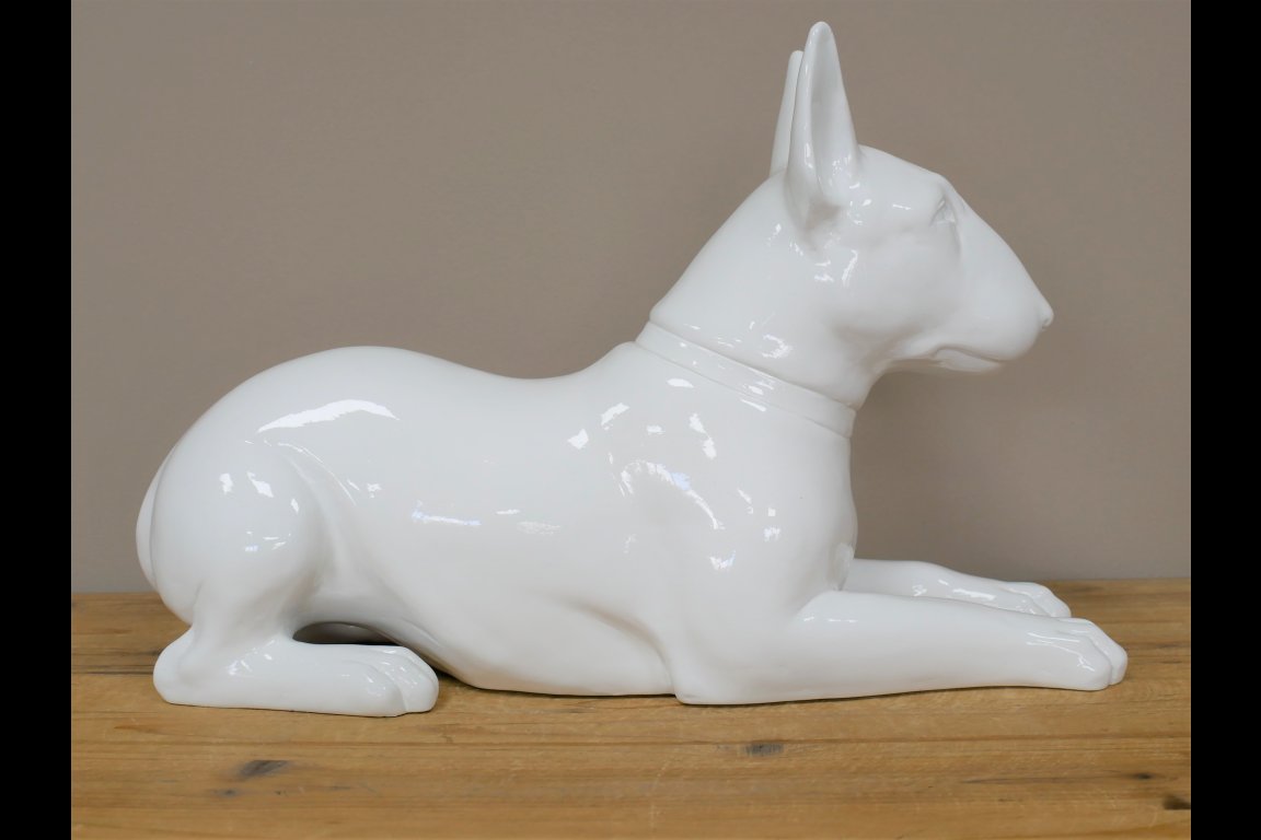 White Dog
