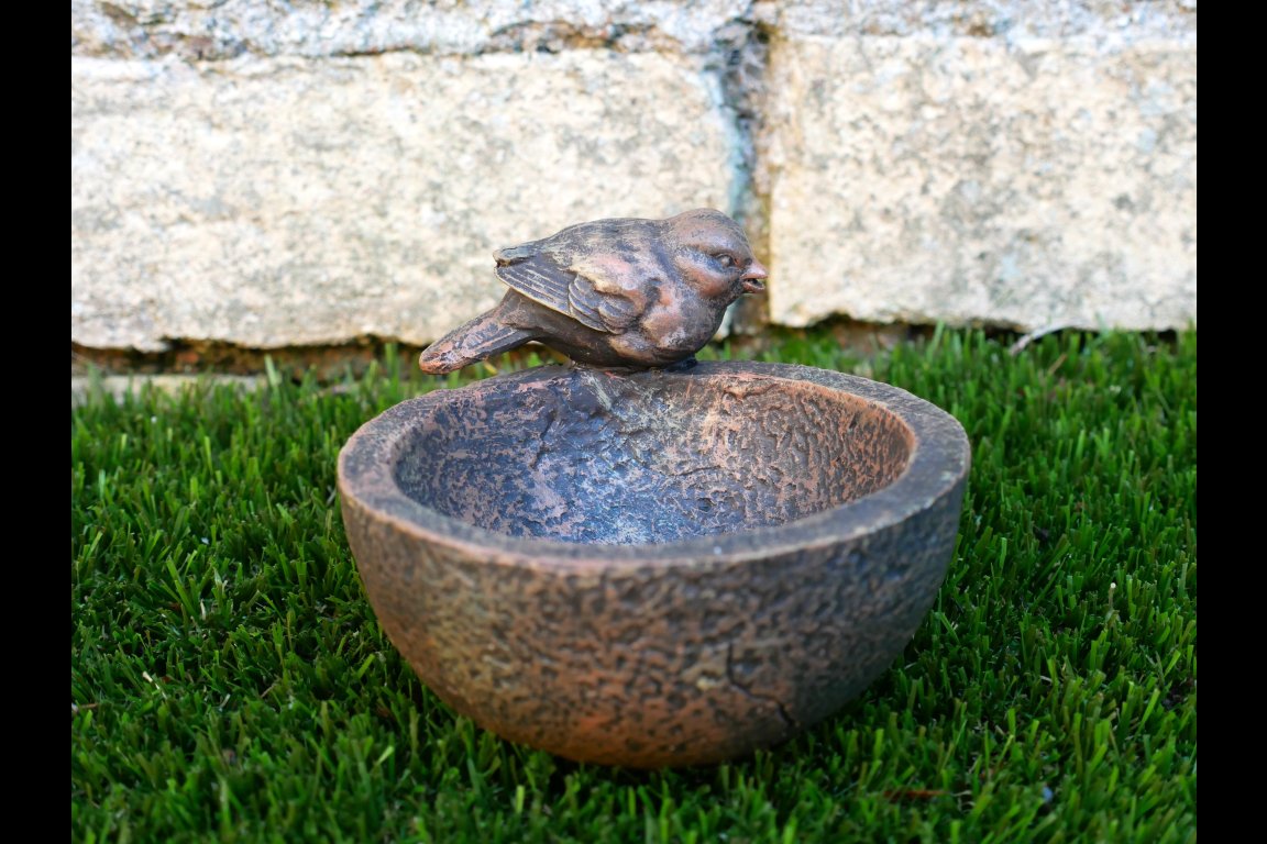 Bird Bowl