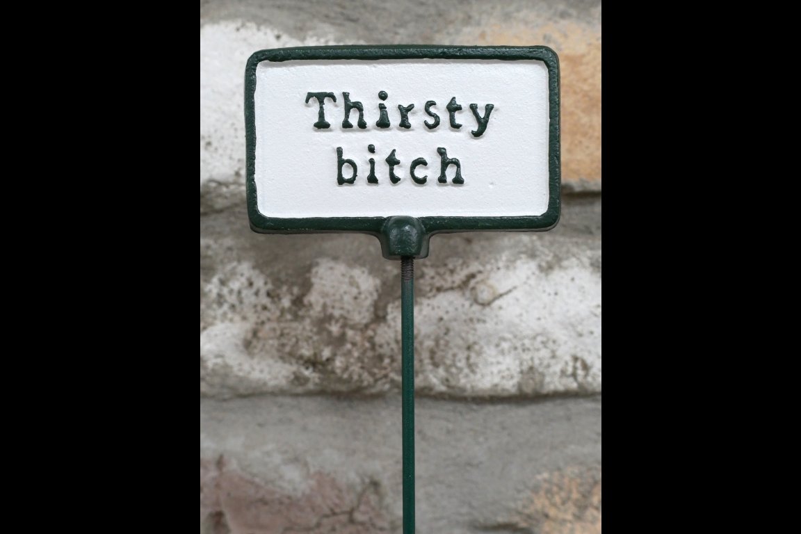 Plant Sign - Thirsty Bitch